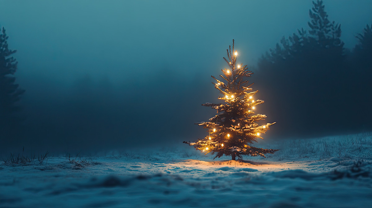 A small Christmas tree twinkling with lights, set against a snowy ackground, capturing the warmth and coziness of the Christmas season.