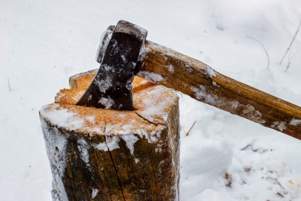photo of axe wedged into tree stump in the snow