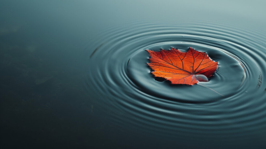 Single autumn leaf afloat on calm water creating a minimalist natural scene