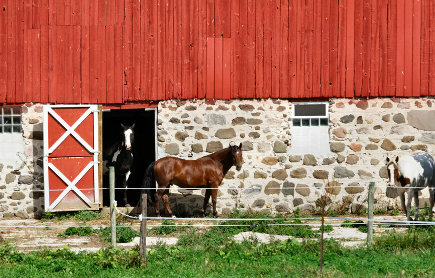 photo of red barn with a brown horse outside.